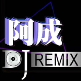 专属串烧,DJ阿成-全中文Electro音乐串烧(小C专属v3)