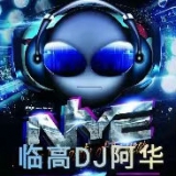 专属串烧,临高DJ阿华-2021私人VIP定制打世纪酒吧气氛跳舞大碟串烧越南鼓