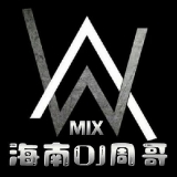 修改中文Dj,雷婷 - 爱你十分泪七分 (海南DJ周哥 Electro Mix 修改)