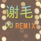 中文舞曲,bpm130 合集 - 错过(DJ谢毛 EDM BigRoom Mix 2018)
